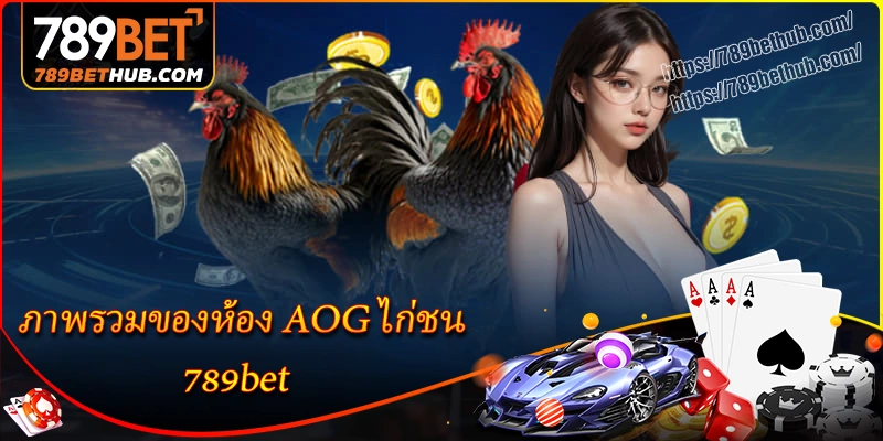 ภาพรวมของห้อง aog ไก่ชน 789bet