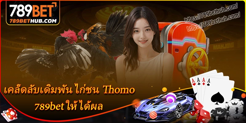 เคล็ดลับเดิมพัน ไก่ชน thomo บน 789bet ให้ได้ผล