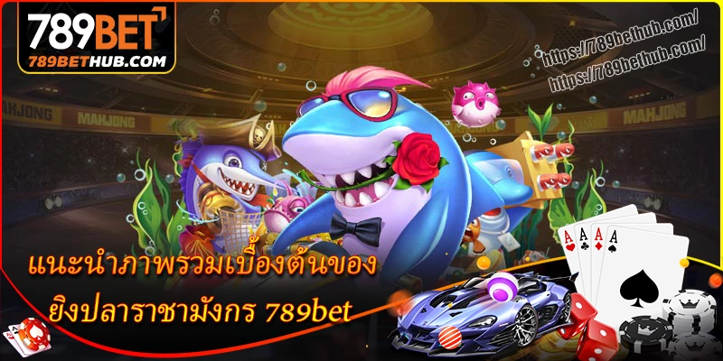 แนะนำภาพรวมเบื้องต้นของ ยิงปลาราชามังกร 789bet
