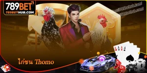 ไก่ชน thomo เดิมพันกว่า 100 แมตช์สุดมันส์ที่ 789bet