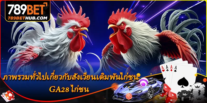 GA28 ไก่ชน - สนามชนไก่ออนไลน์ระดับพรีเมียมที่น่าเชื่อถือ 1 ภาพรวมทั่วไปเกี่ยวกับสังเวียนเดิมพันไก่ชน GA28 ไก่ชน