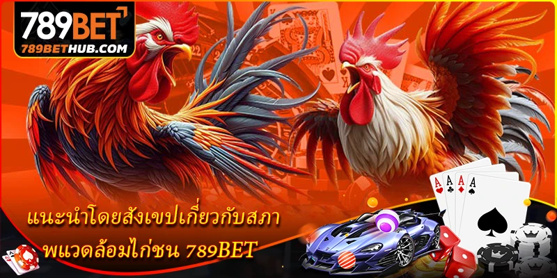 แนะนำโดยสังเขปเกี่ยวกับสภาพแวดล้อมไก่ชน 789BET
